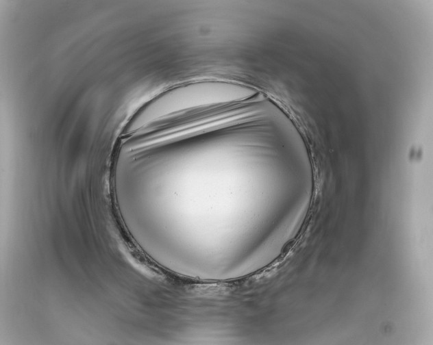 X0000091090050200709041311