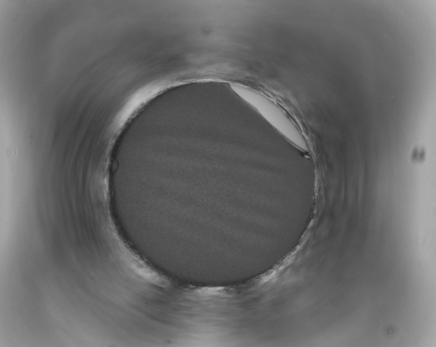 X0000091090054200709041311