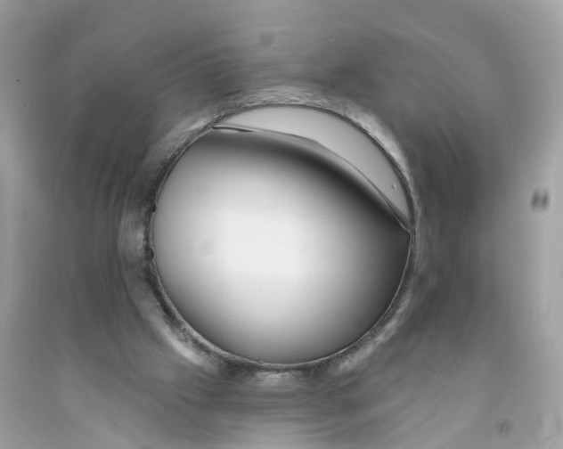 X0000091090057200709041311
