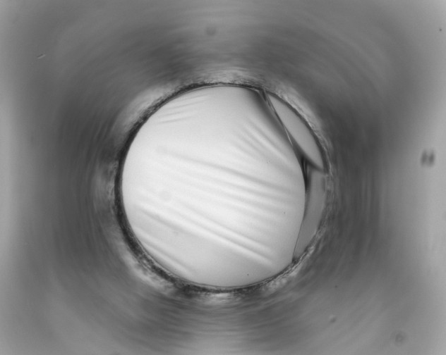 X0000091090058200709041311