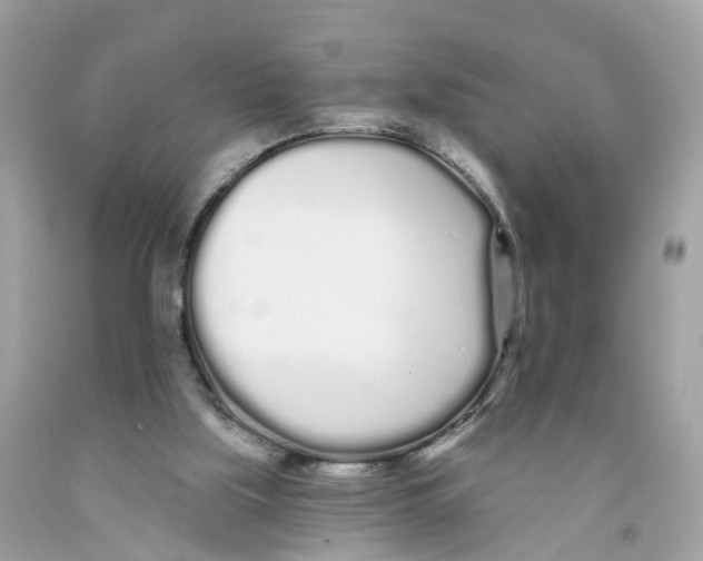 X0000091090059200709041311