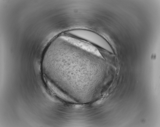 X0000091090060200709041311