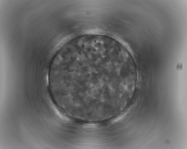 X0000091090061200709041311