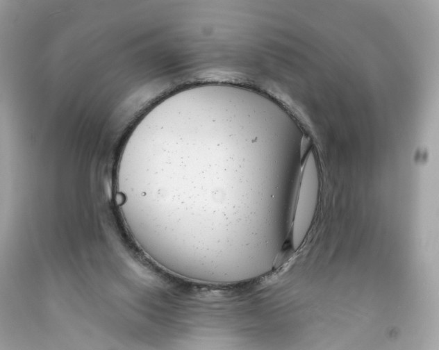 X0000091090062200709041311