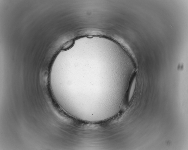 X0000091090063200709041311