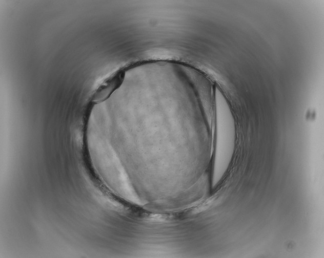 X0000091090064200709041311