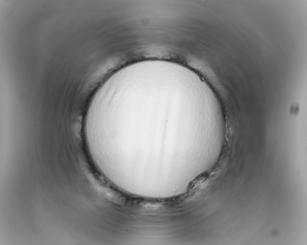 X0000091090066200709041311