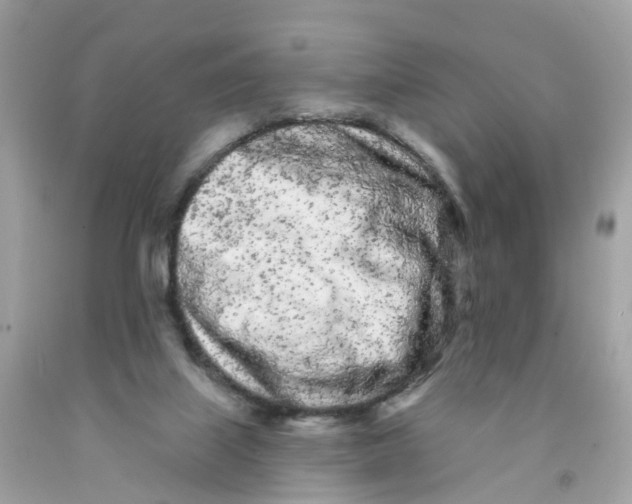 X0000091090067200709041311