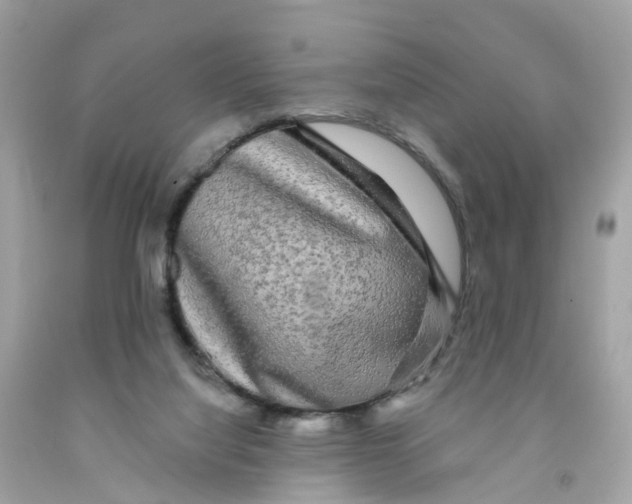 X0000091090068200709041311