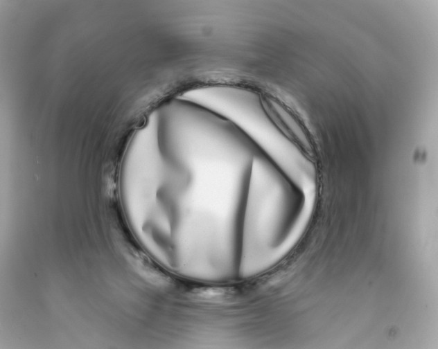 X0000091090069200709041311