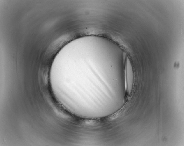 X0000091090070200709041311