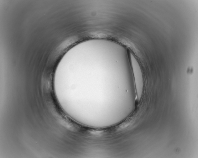 X0000091090071200709041311