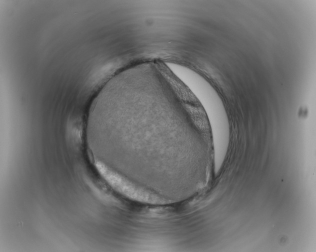 X0000091090072200709041311