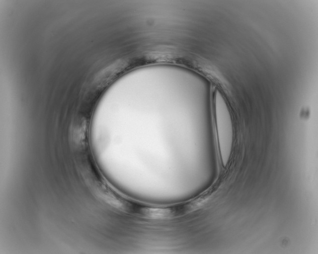 X0000091090073200709041311