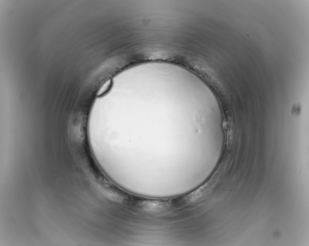 X0000091090074200709041311