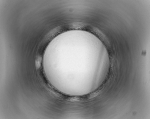 X0000091090075200709041311