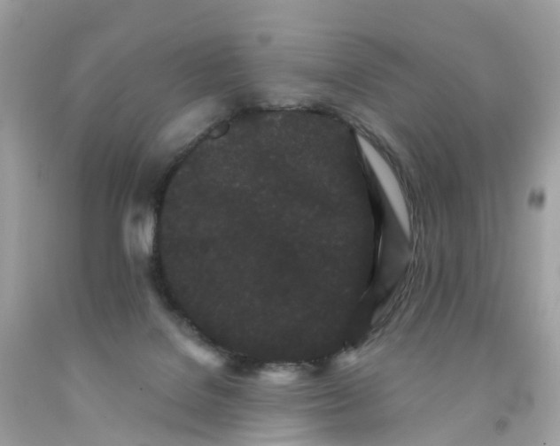 X0000091090076200709041311
