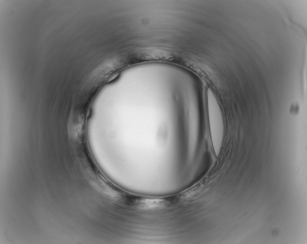 X0000091090077200709041311