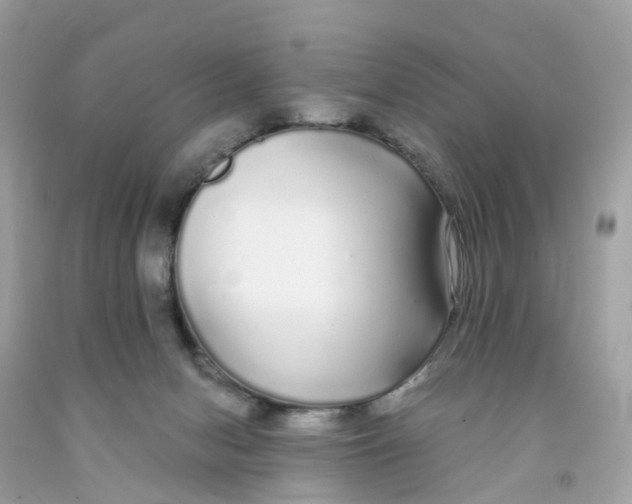 X0000091090078200709041311