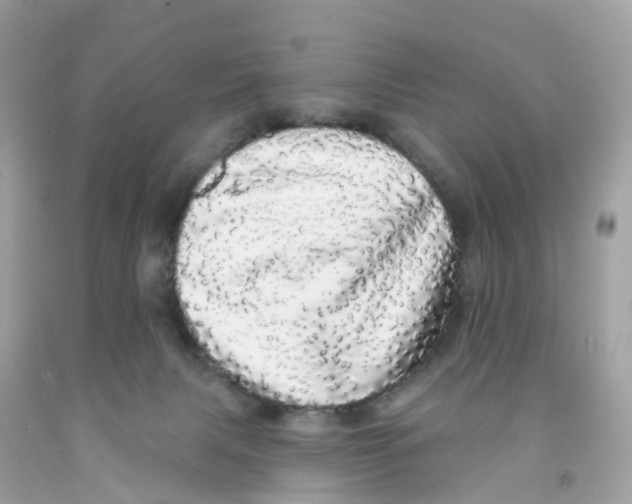 X0000091090079200709041311