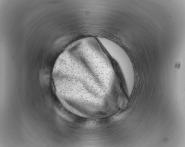X0000091090080200709041311