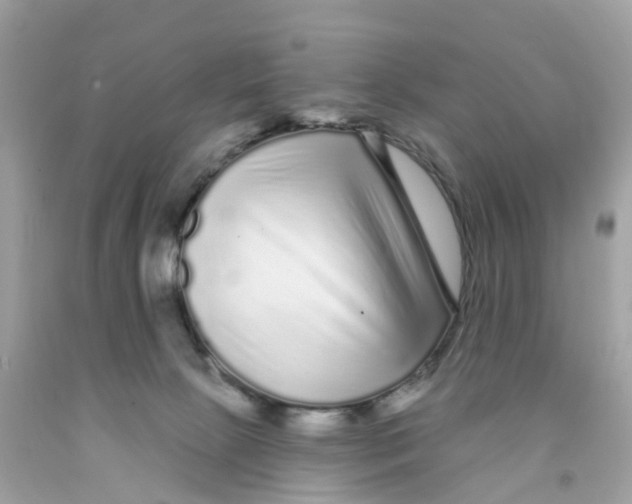 X0000091090081200709041311