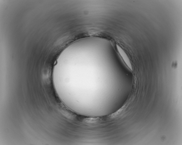 X0000091090082200709041311