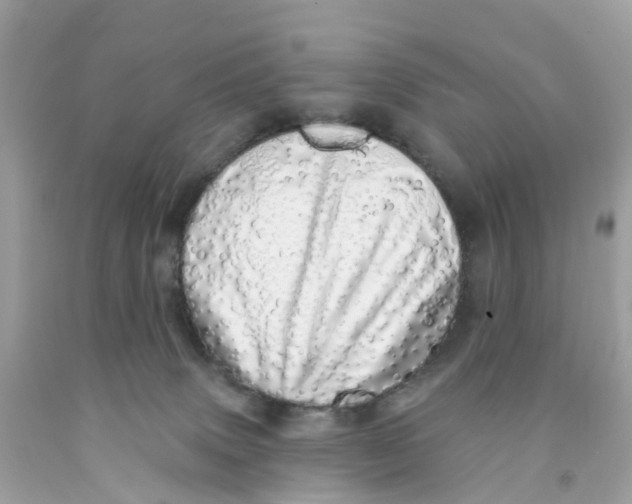 X0000091090083200709041311