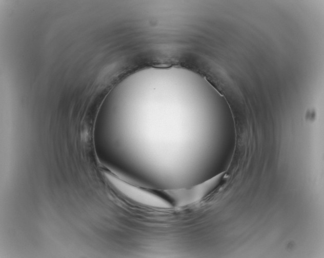 X0000091090084200709041311