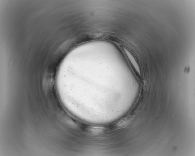 X0000091090085200709041311