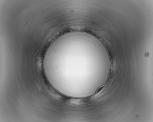 X0000091090086200709041311