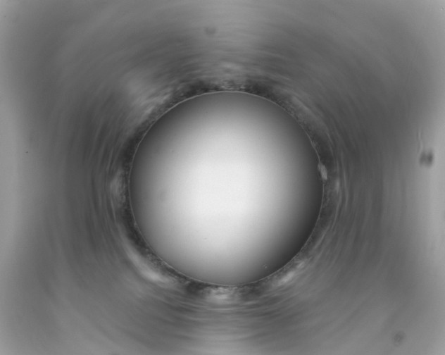 X0000091090088200709041311