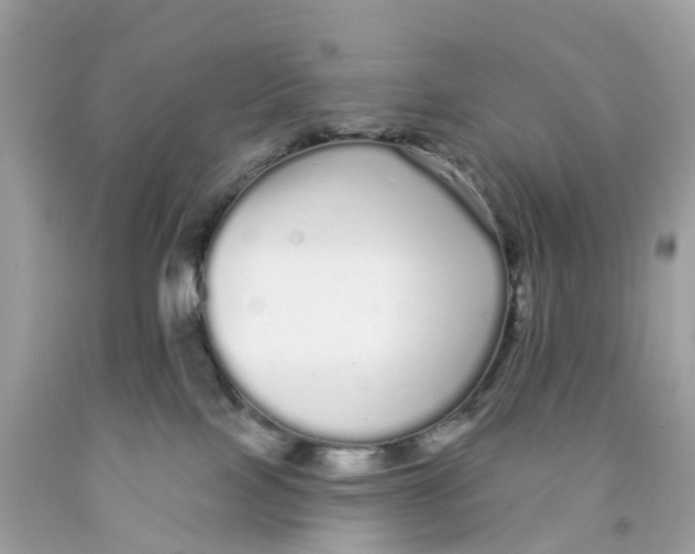 X0000091090089200709041311