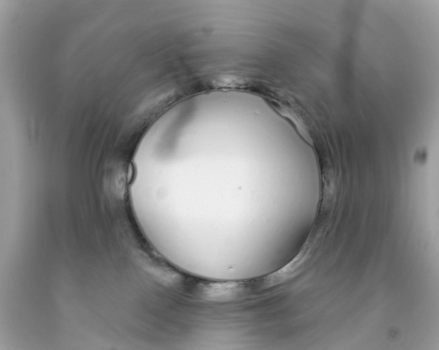 X0000091090090200709041311
