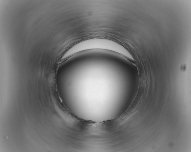 X0000091090092200709041311