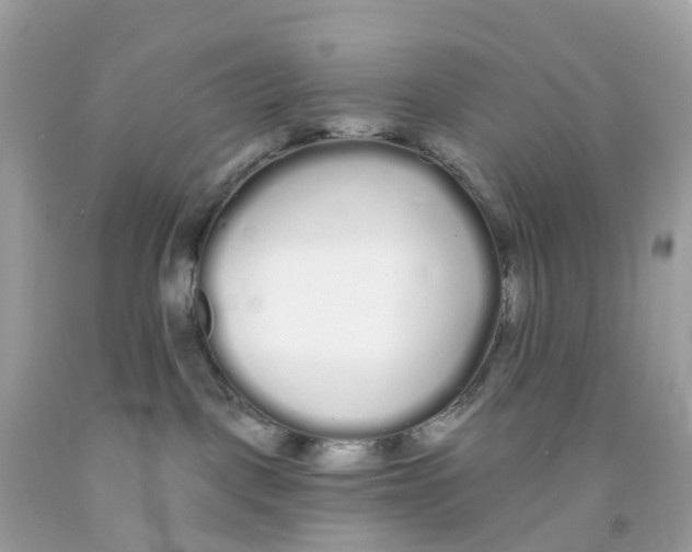 X0000091090093200709041311