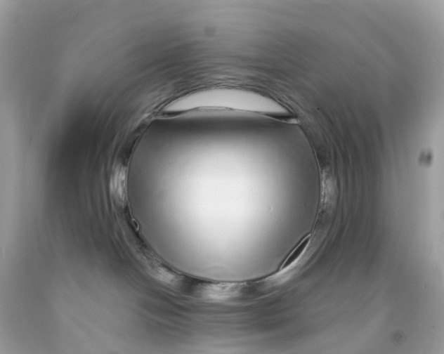 X0000091090094200709041311