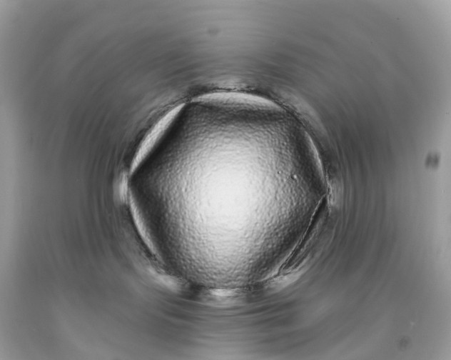 X0000091090095200709041311