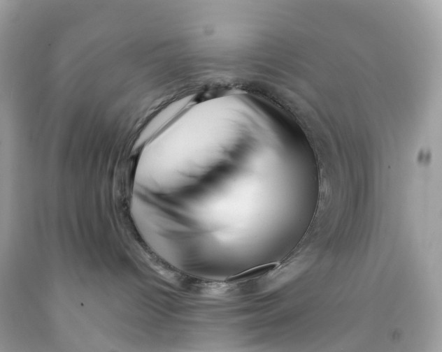 X0000091090096200709041311
