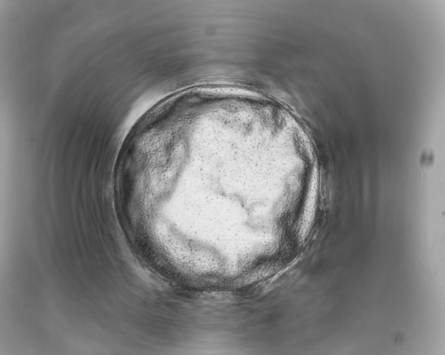 X0000091090099200709041311