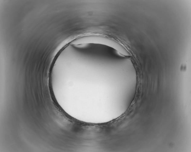 X0000091090100200709041311