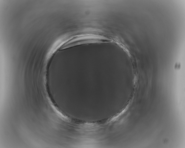 X0000091090101200709041311