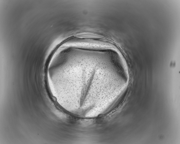 X0000091090102200709041311