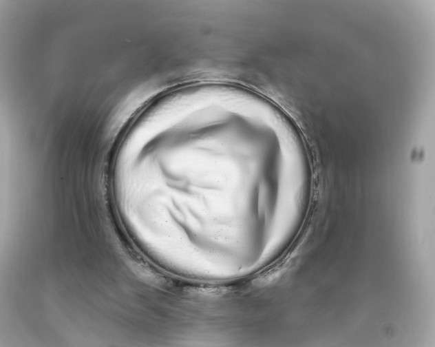 X0000091090103200709041311