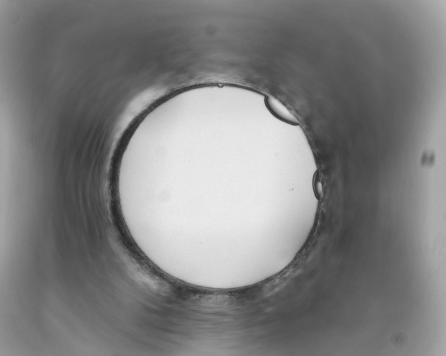 X0000091090104200709041311