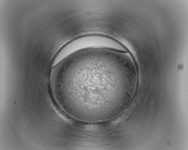 X0000091090105200709041311