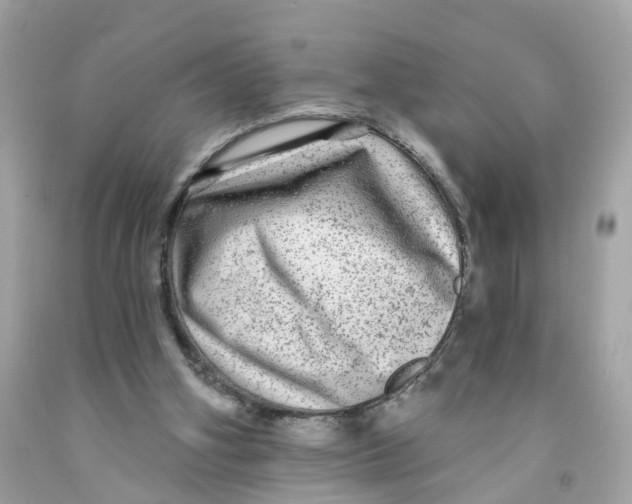X0000091090106200709041311