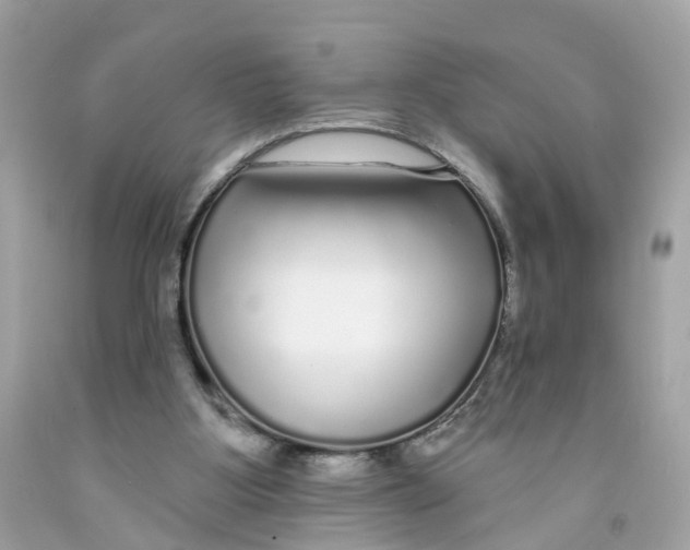 X0000091090107200709041311