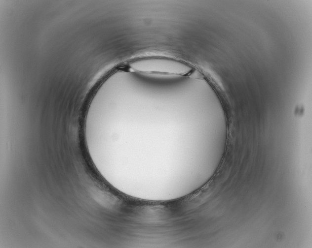X0000091090108200709041311