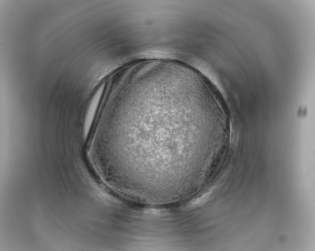X0000091090109200709041311